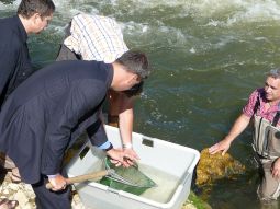 der Umweltminister half mit 20 Huchen in die Kleine Isar einzusetzen