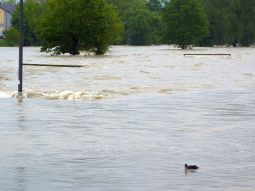 Junihochwasser 2013