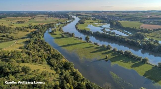 Link zur Seite Donautalprojekt