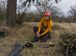 Teilgebiet 4 FFH-Schwerpunkt Goben – Maßnahme C.20: Spezialist Dr. Daniel Schmidt-Rothmund macht sich bereit für das Erklettern des Horstbaumes, um die Großvogel-Nisthilfe anzubringen