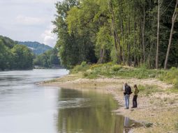 Sub-site 1 FFH priority Loiching - Measures C.1 - C.5: The Isar river bank is made accessible again, flattened and slightly swung.