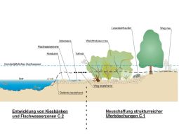 Schemaskizze zur Herstellung strukturreicher Uferböschungen und der Entwicklung von Kiesbänken und Flachwasserzonen