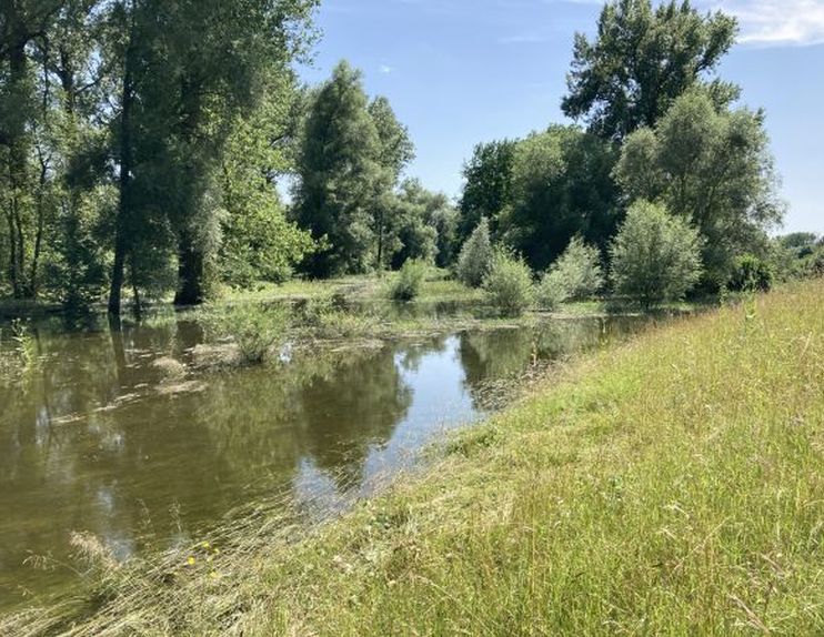 Link führt zur Seite Donautalprojekt
