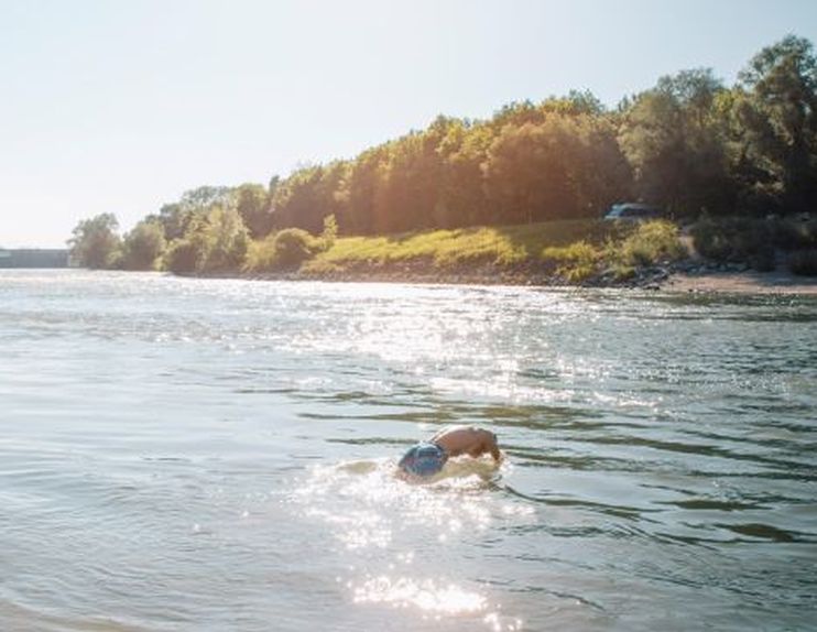 Link führt zur Seite LIFE Isar