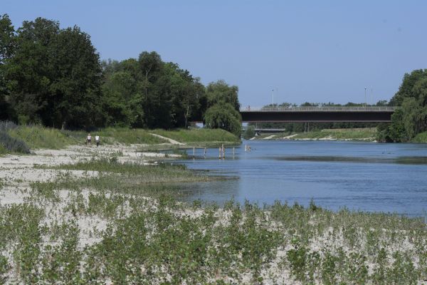 LIFE Natur-Projekt Flusserlebnis Isar, Kiesbänke und Flachwasserzone im Isarabschnitt Dingolfing