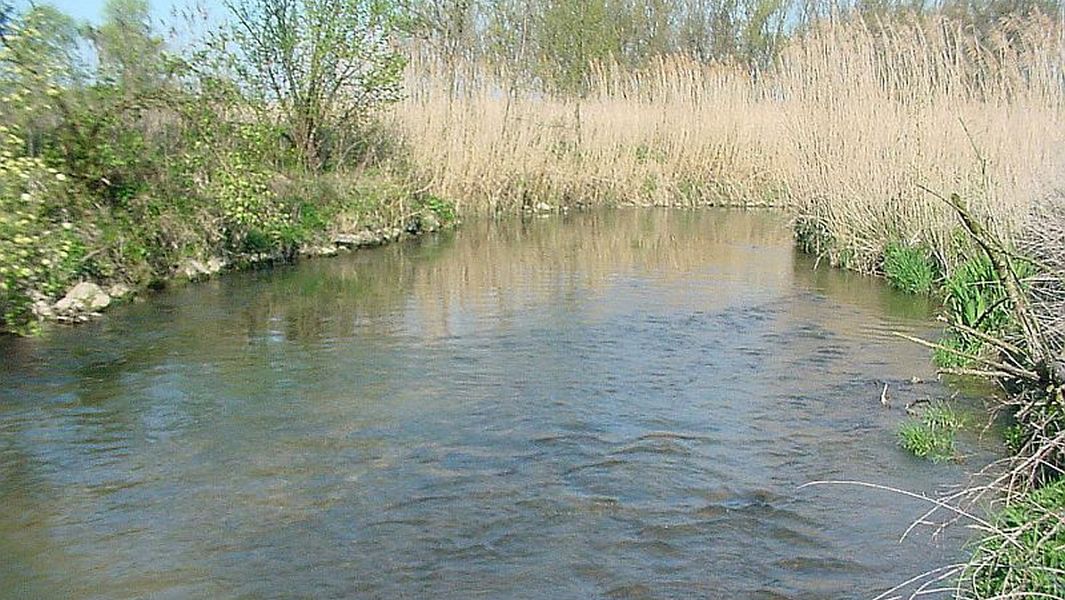 die Abens bei Schwaighausen, oberhalb von Abensberg die Abens bei Schwaighausen, oberhalb von Abensberg
