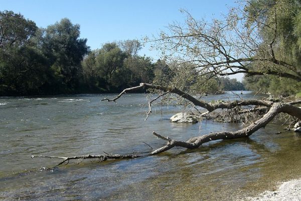 Natürliche Isar an den sieben Rippen (Gemeinde Bruckberg, Landkreis Landshut) Natürliche Isar an den sieben Rippen (Gemeinde Bruckberg, Landkreis Landshut)